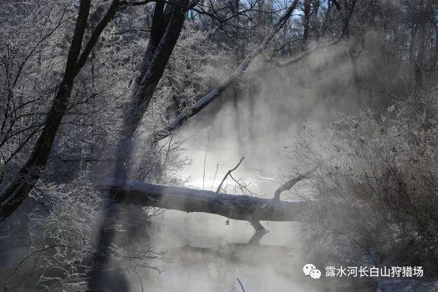 亚当寻找夏娃7