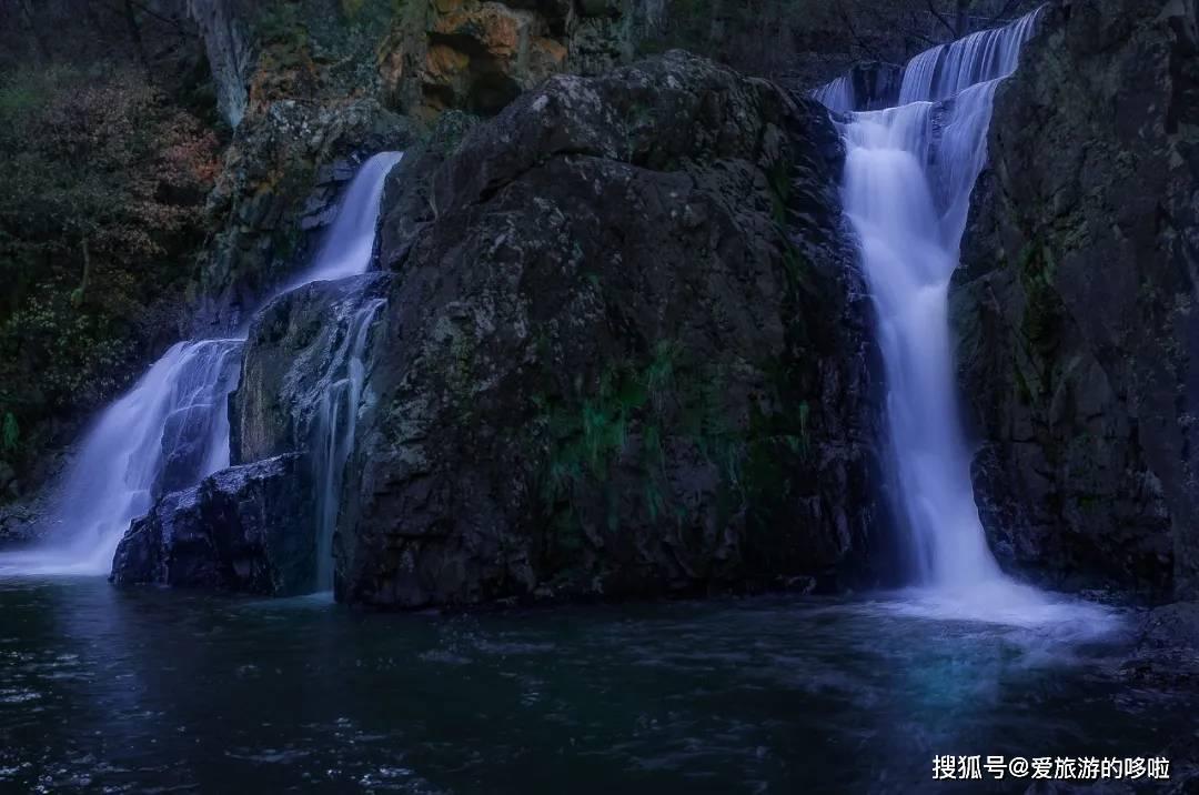 天鹅森林逃脱