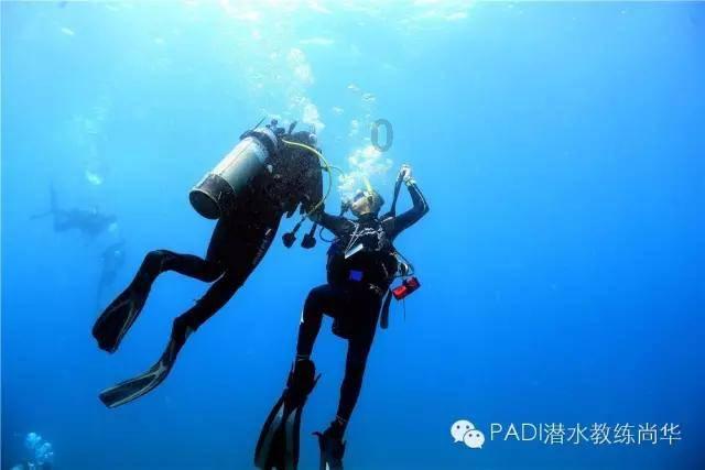 无罪冤案的人银行存款能被冻结吗？游戏画面