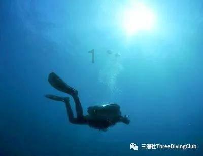 逃离神秘之林