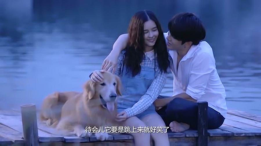 猫可以带上高铁吗游戏画面