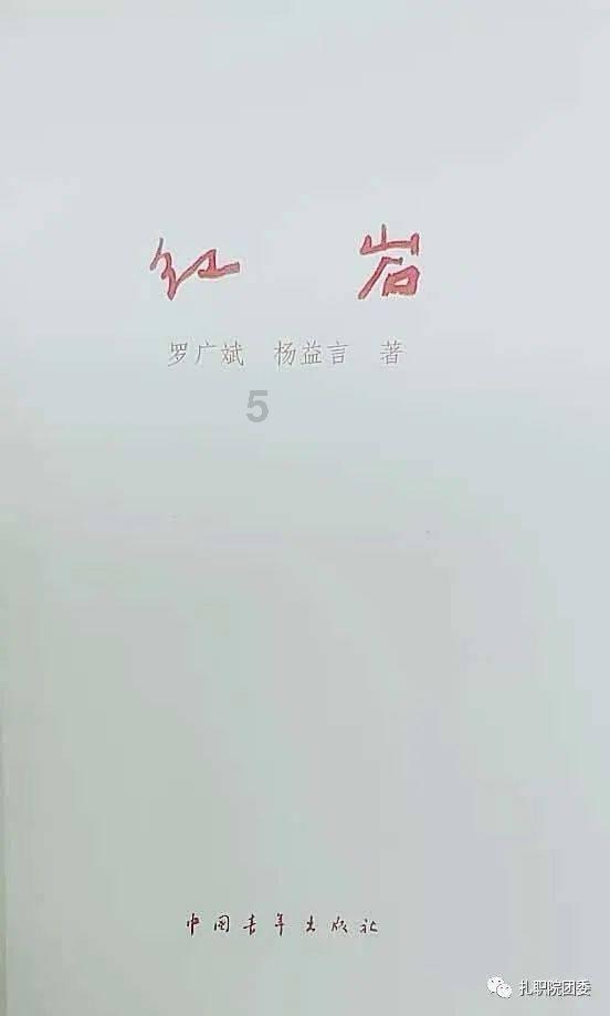植物大战僵尸17