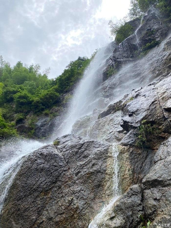 植物大战僵尸：花园战争
