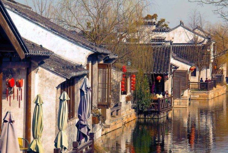 奥利维亚收养猫