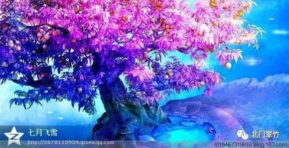 芭比的时尚新娘装